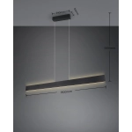 GALWAY – 349710132 incl. 1x SMD, 35W · 1x 4200lm, 2700 - 6000K TRIO
