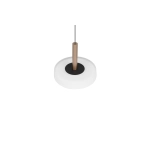CELESTE – 354910165 incl. 1x SMD, 10W · 1x 1100lm, 3000K TRIO