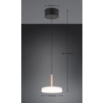 CELESTE – 354910165 incl. 1x SMD, 10W · 1x 1100lm, 3000K TRIO