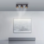 Lampa sufitowa Pure Cup Czarna 6227-18 Paul Neuhaus - zdjęcie dodatkowe 4