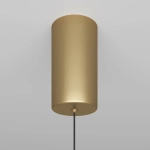 Lampa wisząca Ray P022PL-L20G3K Maytoni - zdjęcie dodatkowe 4