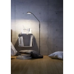 kinkiecik.pl Lampa podłogowa MONZA 423310132 TRIO