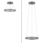 Lampa wisząca Pure E-loop Szary 2551-15 Paul Neuhaus - zdjęcie dodatkowe 3