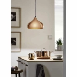 kinkiecik.pl Lampa wisząca HAPTON 49449