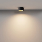Lampa sufitowa Vega C089CL-12W3K-BMG Maytoni - zdjęcie dodatkowe 3