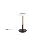 CELESTE – 554910165 incl. 1x SMD, 10W · 1x 1050lm, 3000K TRIO