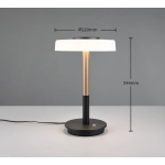 CELESTE – 554910165 incl. 1x SMD, 10W · 1x 1050lm, 3000K TRIO