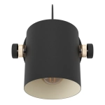 HORNWOOD lampa ścienna 43518 EGLO