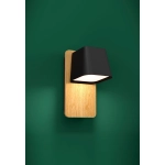 RUSCIO lampa ścienna 390009 EGLO