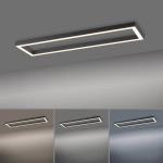 Lampa sufitowa Pure-lines Antracyt 6023-13 Paul Neuhaus - zdjęcie dodatkowe 4