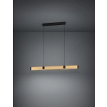 CAMINARRO Lampa wisząca 390225 EGLO