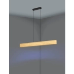 ANCHORENA-Z Lampa wisząca 900388 EGLO