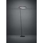 CAREDARA Lampa podłogowa 390167 EGLO