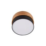 Plafon SEASONS – 611500202 excl. 2x E14 · max. 40W TRIO
