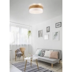Plafon SEASONS – 611500301 excl. 3x E27 · max. 40W TRIO