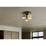Plafon AGUDO – 619430317 excl. 3x E27 · max. 40W TRIO