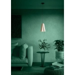 TOLLERIC Lampa wisząca 390363 EGLO
