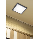 kinkiecik.pl TRAVE – 620160142 incl. 1x SMD LED, 16W · 1x 2000lm, 3000K TRIO