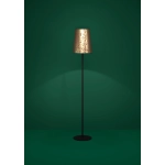 CASTUERA Lampa podłogowa 390295 EGLO