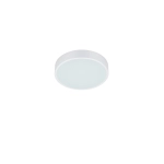 Plafon WACO – 627413031 incl. 1x SMD LED, 28W · 1x 3200lm, 2300+3000+4000K TRIO