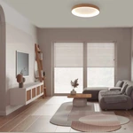 Lampa sufitowa Mantra Niseko II 8643MA - zdjęcie dodatkowe 3