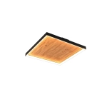 KALEA – 655510130 incl. 1x SMD, 41W · 1x 4800lm, 3000K TRIO