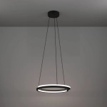 MEZZOMONTE Lampa wisząca LED CCT / ściemnialna Czarna Ø48cm 901822 EGLO