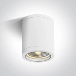 PAR30 Outdoor Cylinders 67142C/W ONE LIGHT
