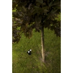Lampa stojąca BINGO SOLAR - CZUJNIK RUCHU IP54 6938401330 LUTEC