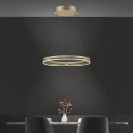 Lampa wisząca Pure E-loop Matowy Mosiądz 2551-60 Paul Neuhaus - zdjęcie dodatkowe 4