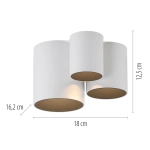Lampa sufitowa Pure Point Biała 6750-16 Paul Neuhaus - zdjęcie dodatkowe 4