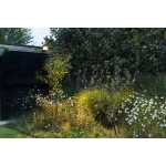 Kinkiet ATLANTIS IP54 7801603118 LUTEC
