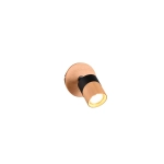 Spot ARUNI – 801170132 excl. 1x GU10 · max. 10W TRIO