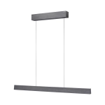 Lampa wisząca Pure E-motion Szary 2570-15 Paul Neuhaus - zdjęcie dodatkowe 6