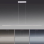 Lampa wisząca Pure Lite Srebrny 8377-55 Paul Neuhaus - zdjęcie dodatkowe 3
