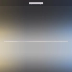 Lampa wisząca Pure Lite Srebrny 8377-55 Paul Neuhaus - zdjęcie dodatkowe 7