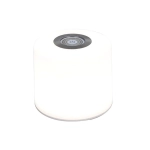Lampa stojąca NOMA 8506204331 LUTEC