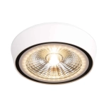 CHARON C0207 LAMPA SUFITOWA BIAŁA IP65 MaxLight - zdjęcie produktu