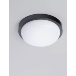 Plafon CELVORA LE75260 Luces Exclusivas - zdjęcie dodatkowe 4