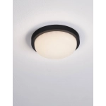 Plafon CELVORA LE75260 Luces Exclusivas - zdjęcie dodatkowe 5