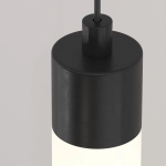 kinkiecik.pl Lampa wisząca Ray P022PL-L20B3K Maytoni