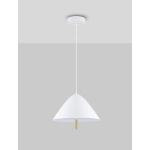 Lampa wisząca CARAPARI LE44655 Luces Exclusivas - zdjęcie dodatkowe 4