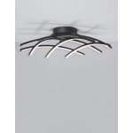 Plafon CATIA LE41600 Luces Exclusivas - zdjęcie dodatkowe 1