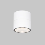 Lampa sufitowa Spin O310CL-L5W3K IP54 Maytoni - zdjęcie produktu