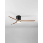 Wentylator GUARAYOS LE44964 Luces Exclusivas - zdjęcie dodatkowe 5