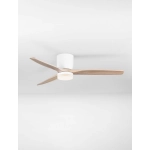 Wentylator GUARAYOS LE44966 Luces Exclusivas - zdjęcie dodatkowe 5