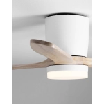 Wentylator GUARAYOS LE44966 Luces Exclusivas - zdjęcie dodatkowe 1