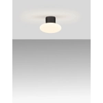 Plafon TARANZO LE75258 Luces Exclusivas - zdjęcie dodatkowe 1