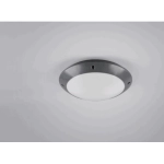kinkiecik.pl Plafon CAMARO – R60501042 excl. 1x E27 · max. 12W IP54 TRIO