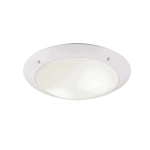 kinkiecik.pl Plafon CAMARO – R60502031 excl. 2x E27 · max. 12W IP54 TRIO